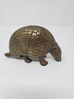 Left profile of brass armadillo