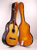 Guitar standing in open hard case showing front and interior lining