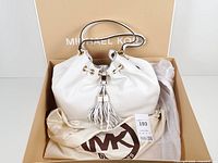 Bag seated inside branded box with dust bag visible