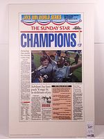 Front view showing entire Toronto Star "Champions" page on Plak-It board