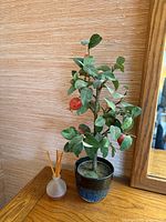 Faux pomegranate tree in ceramic pot beside glass reed diffuser