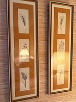 Pair of framed botanical sketches side by side on wall