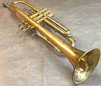Full view of brass trumpet