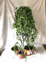 Overall view of metal stand with faux vine and three live potted plants