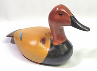 profile view showing head, bill, body coloration