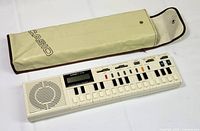 Keyboard with open vinyl case