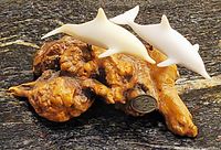 Front view showing two resin dolphins on burlwood with logo medallion