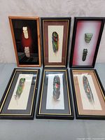 Six framed pieces including painted feathers and carved pendants