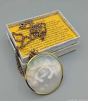 Pendant on chain resting on box displaying yellow informational card