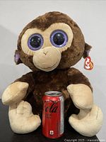 Front view of 16" Ty Beanie Boos Coconut monkey plush next to soda can for scale
