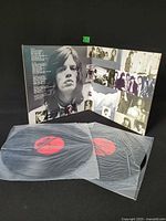 Gatefold opened showing interior artwork and both vinyl discs in plastic sleeves