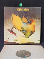 Front jacket with abstract bird artwork