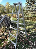 Full view of aluminum stepladder outdoors