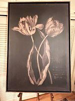Framed canvas print showing two tulip blooms