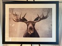 Full view of framed moose print with mat and frame