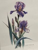 Close-up of iris artwork showing color and detail