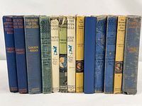 Front view of all 13 Nancy Drew books standing upright