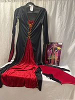 Full costume layout: gown, collar, strap, packaging insert