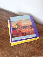 Stack of four art books showing covers