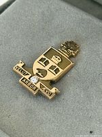 front view of gold lapel pin showing crest details and diamond