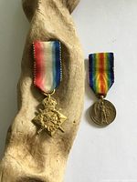 Both medals side by side on wood backdrop
