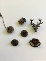 All seven pins arranged for overview