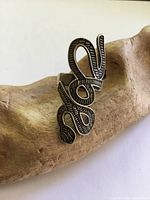 Front view of coiling snake ring on driftwood