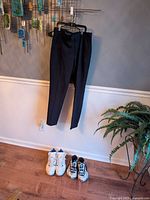 Full view of pants on hanger with both sneaker pairs on floor