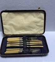 Full view of cutlery set inside opened case