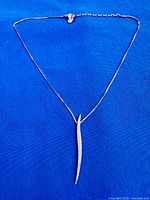 Full view of necklace showing pendant and chain