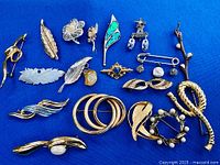 Group shot of all 17 brooches laid on blue fabric