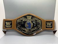 Full front view of belt showing central plate and side plates