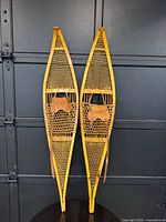 full view of both snowshoes front side