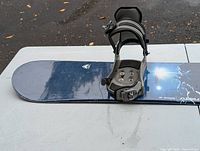 Full view of nose section showing blue graphic and left binding