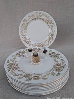 Stack of 8 floral plates with 3 glass shakers