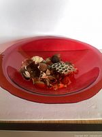 Top view showing full shape, color and filler contents