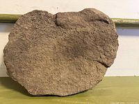 Full view of irregular round fossil slab