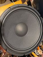 Front view showing 15-inch cone, surround and basket