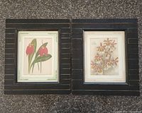 Both framed orchid prints side by side