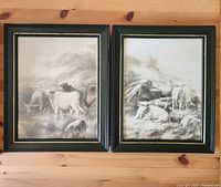 Both framed prints side by side showing overall appearance and matching frames