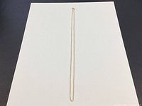 Full view of gold chain laid out straight on white background