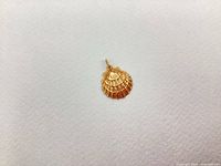 Front view of gold seashell pendant
