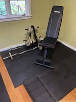 Overall view of bench, EZ bar, plate rack, mats