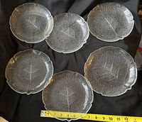 All six clear glass leaf plates with tape measure for scale