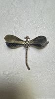 Front view of dragonfly brooch