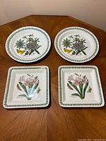 All four plates—two round, two square—displayed top view