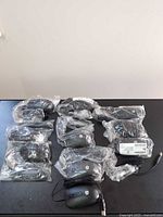 All ten mice, nine sealed in plastic, one unbagged with cable