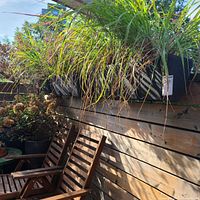 Three black fiberglass window boxes mounted on wooden fence with plants inside