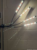 Grow light clamped to surface, all four LED bars illuminated