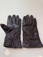 gloves front and palm view